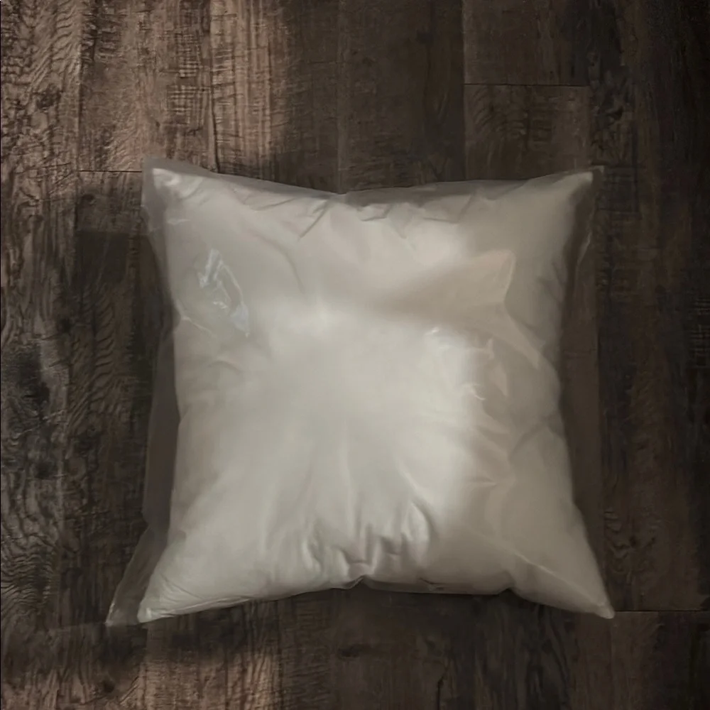West Elm Pillow Insert - 20 inch x 20 inch - New in package